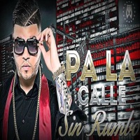 Pa' la Calle Sin Rumbo (feat. Perreke) - Single - Farruko