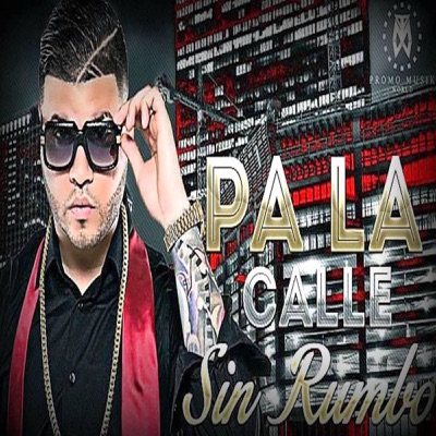 Pa' la Calle Sin Rumbo (feat. Perreke) - Single
