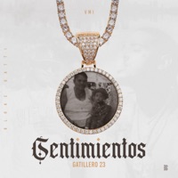 Sentimientos - Single - Gatillero 23