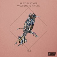 Welcome To My Life - Single - Alex Flatner
