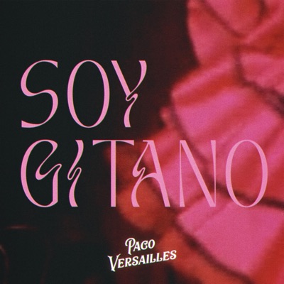 Soy Gitano - Single
