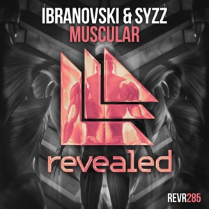 Muscular - Single