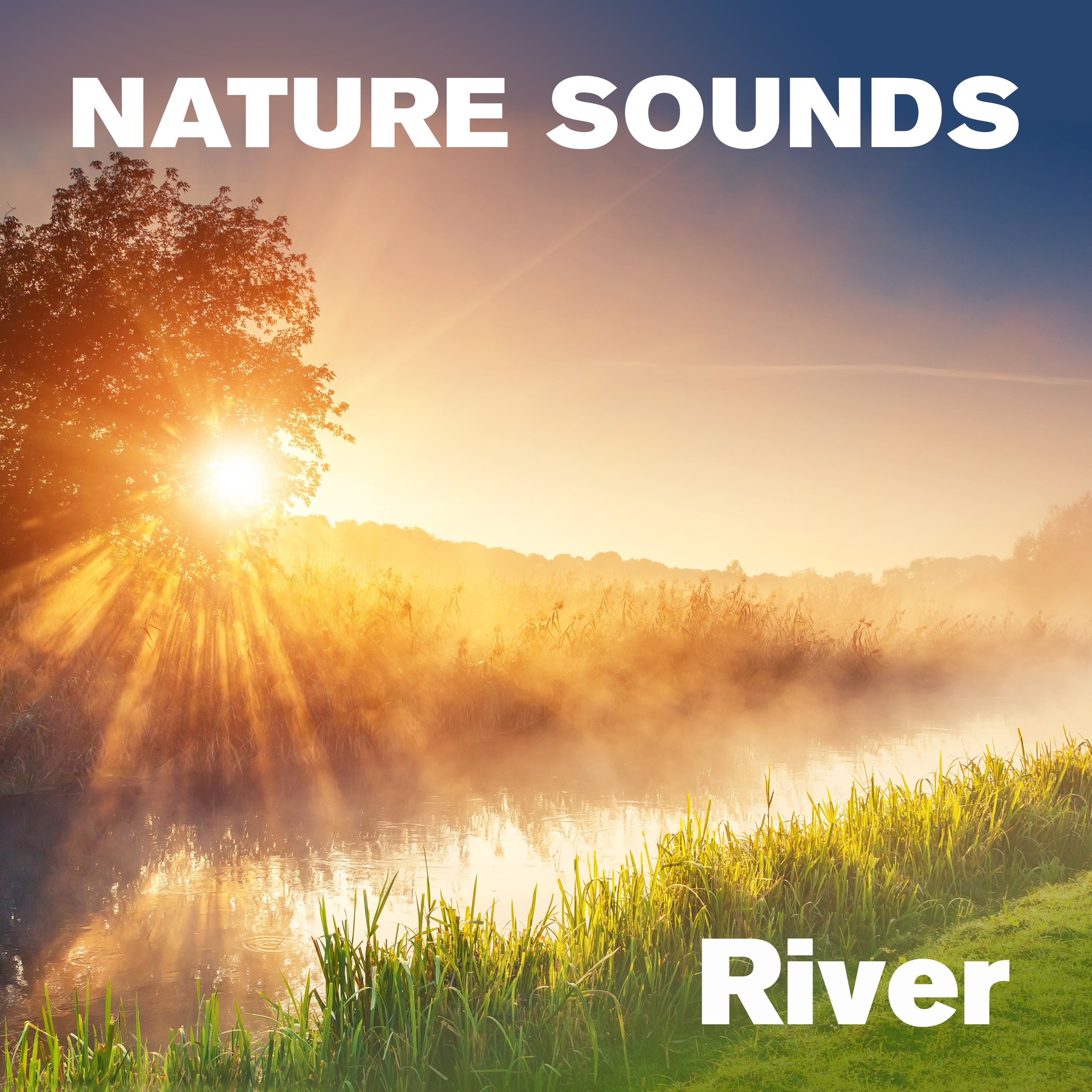 Nature Sounds - River