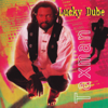 Taxman - Lucky Dube