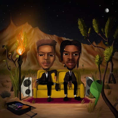 Don't Try This At Home (Deluxe)