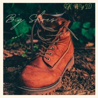 Big Shoes - Single - SK Stylo