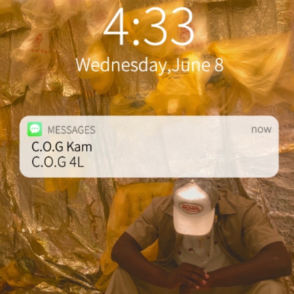 C.O.G 4L