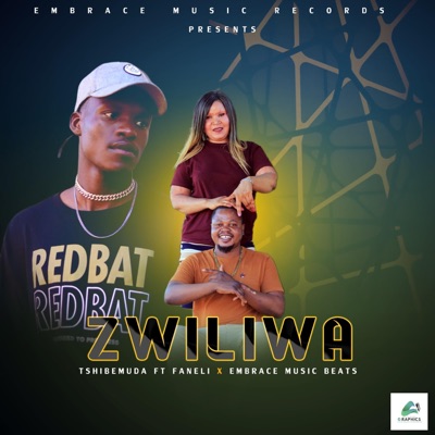 Zwiliwa (feat. Faneli & Embrace music beats) - Single