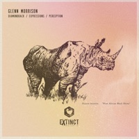 Expressions / Perception / Diamondback - Single - Glenn Morrison