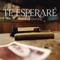 Te Esperaré - Estani & Robleis lyrics