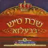בעלזא - שמחם