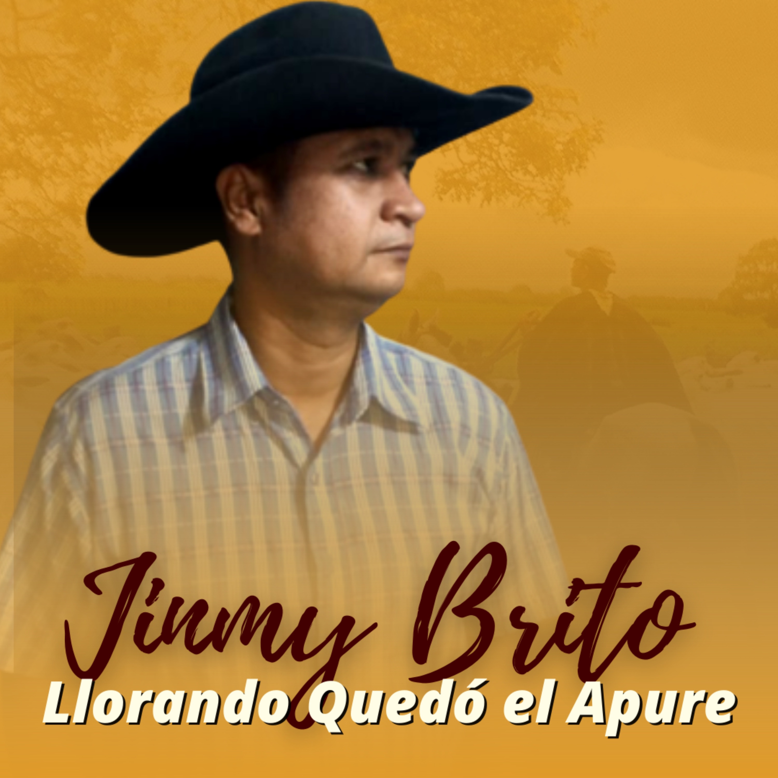 Llorando Quedó el Apure - Single