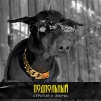 Подпольный - Single - СТРОГИЙ & ZhuMai