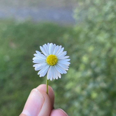 Samjhana Ma - Single