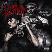 From the Bottom (feat. Trap Baby) - Single - ARYoungin