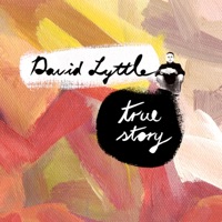 True Story (feat. Michael Buckley) - Single - David Lyttle