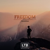 Freedom artwork