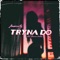 Tryna Do (feat. Darrein Safron) - Anamosity lyrics