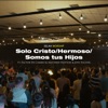 Solo Cristo / Hermoso / Somos Tus Hijos (En Vivo) [feat. Matthew Hotton, Factor de Cambio & Josy Fischer] - Single