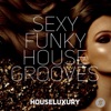Sexy Funky House Grooves