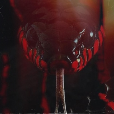 SNAKE BITE (feat. Яр Тайп) - Single