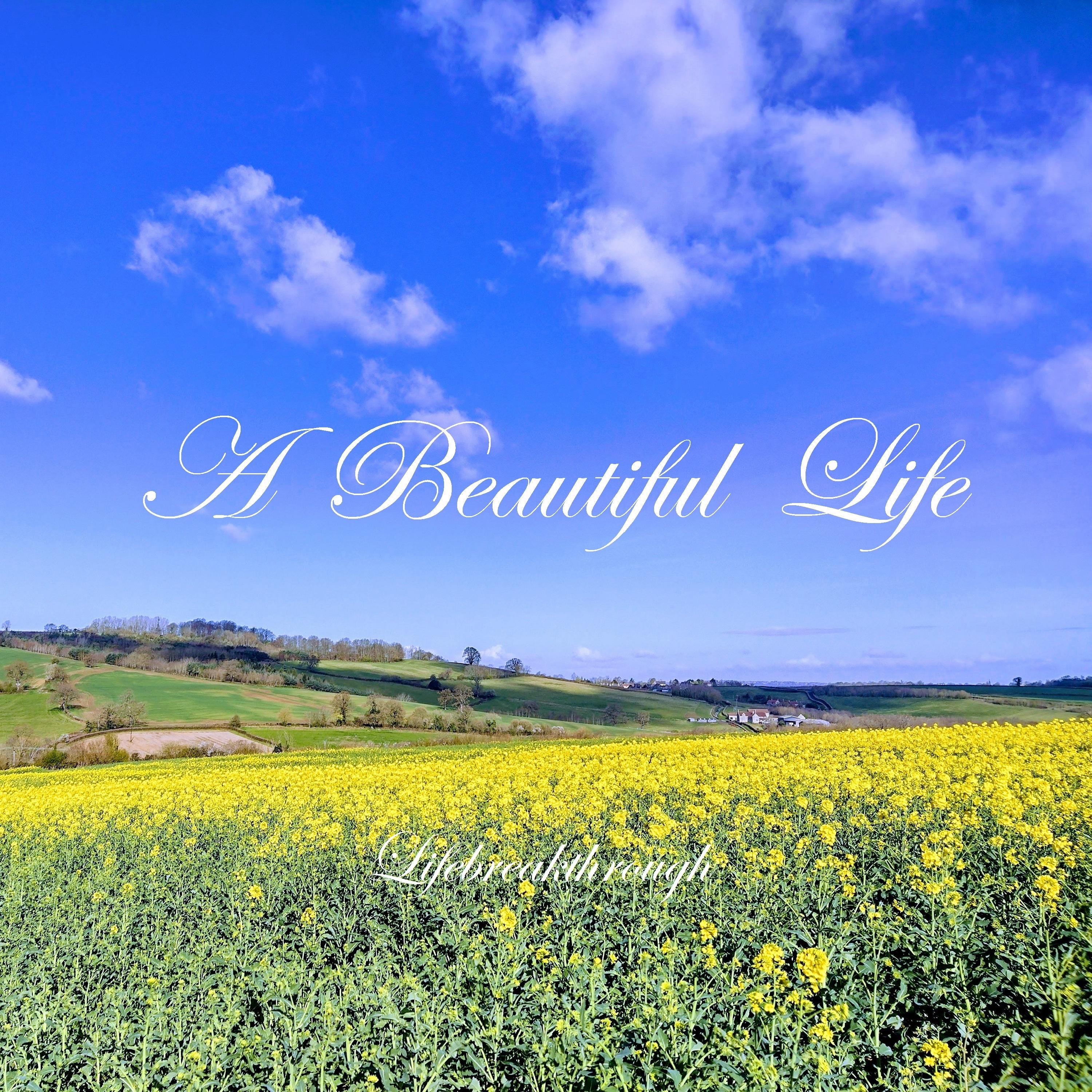 A Beautiful Life