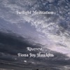 Twilight Meditation - Single