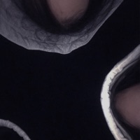 Катрина - Single - AMBER BOY