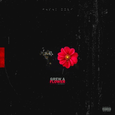 Grew A Flower - Single