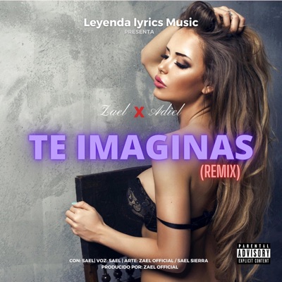 Te Imaginas (Remix) - Single