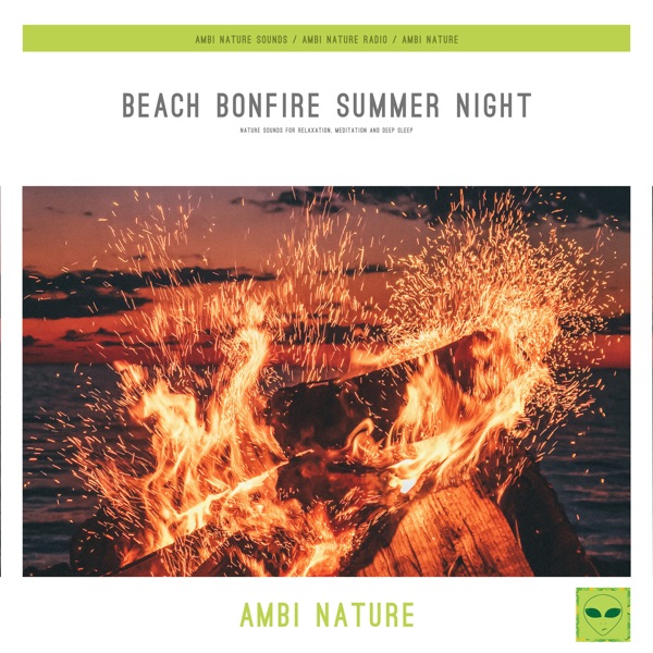 Beach Bonfire Summer Night