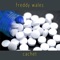 Fenoprofen - Freddy Wales lyrics