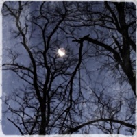 They Flexed On Me (feat. Jay Milo) - Single - J.SHEP