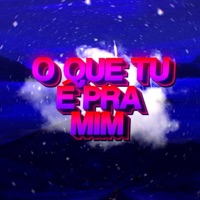 O que tu é pra mim ((Versão Funk)) - Single - Senhor Nestlon