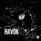 Havok - L4MO & ML33KS lyrics