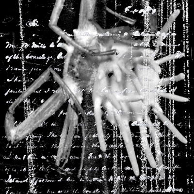 Ketamine Sex (feat. Dollbreaker) - Single