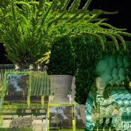 Smoked Out Dome Lettuce