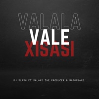 Valala Vale Xisasi (feat. Salani the Producer & Maponyani) - Single - Dj Slash Wa Marimba
