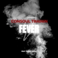 Fever (feat. Danny Aridi) - Single - Consoul Trainin