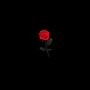 Drama - Single