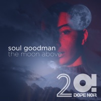 The Moon Above (feat. Patrizia Ferrara) - Single - Soul Goodman & Waldeck