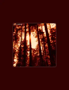 Shirokuro सुनें, म्यूज़िक वीडियो देखें, बायो पढ़ें, दौरे की तारीखें और बहुत कुछ देखें!