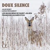 Doux silence artwork