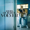 Ahora Quieres Volver - Single