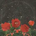 Angeldust