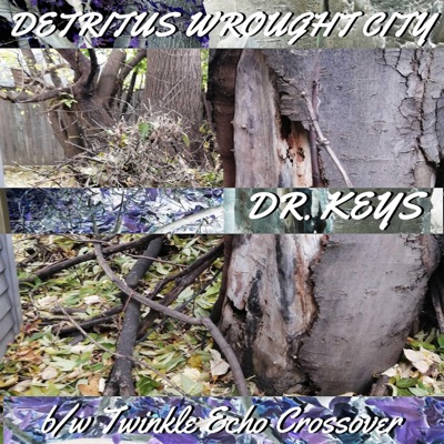 Detritus Wrought City - Single