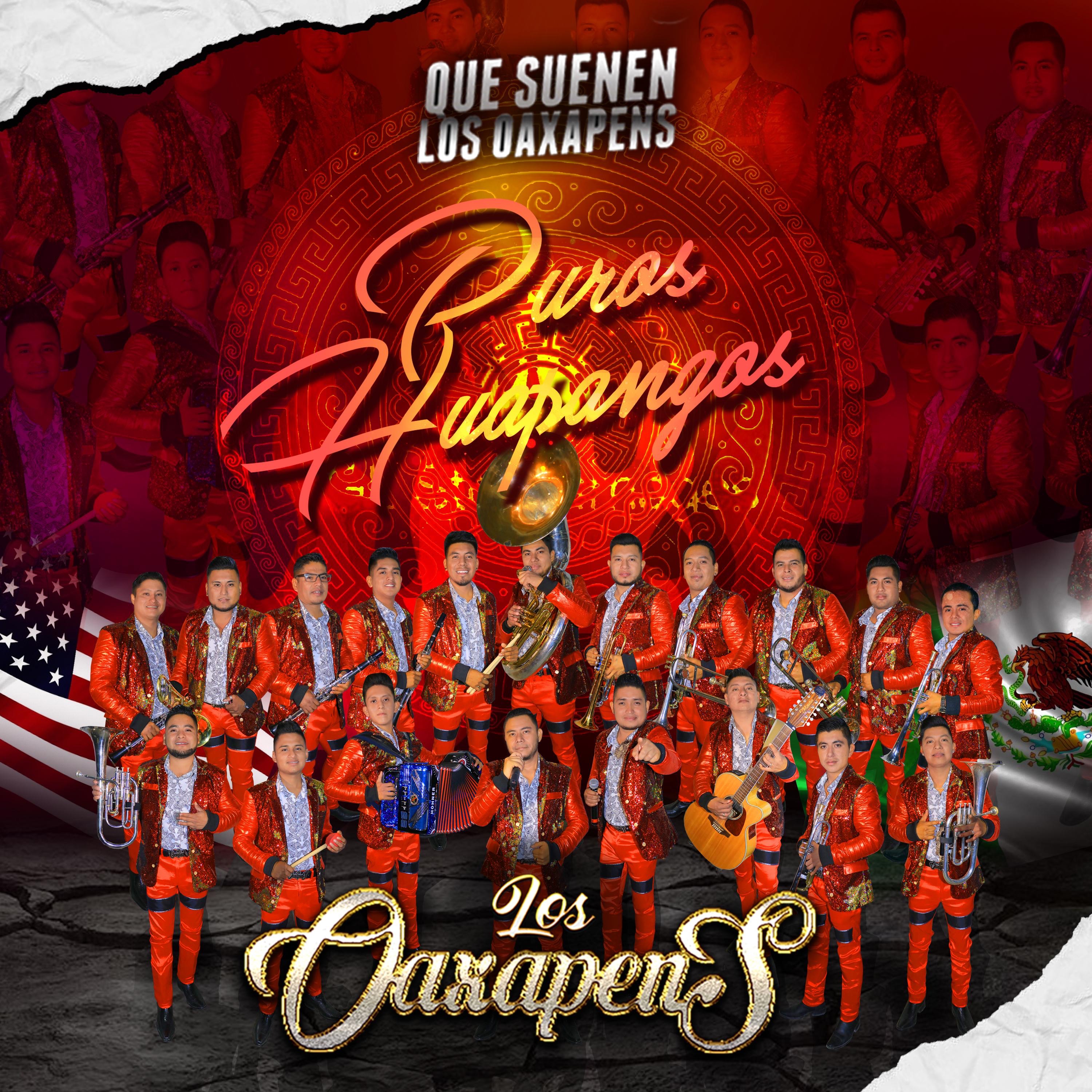 Puros Huapangos - Single