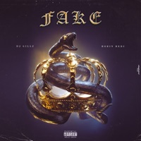 Fake - Single - DJ Gillz & Robin Bedi
