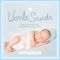 Baby Einschlaf-Hilfe Mutterleibs Geräusche: 90 Min Womb Sounds artwork