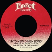 Into New Dimensions - Spyrm Of The Moment